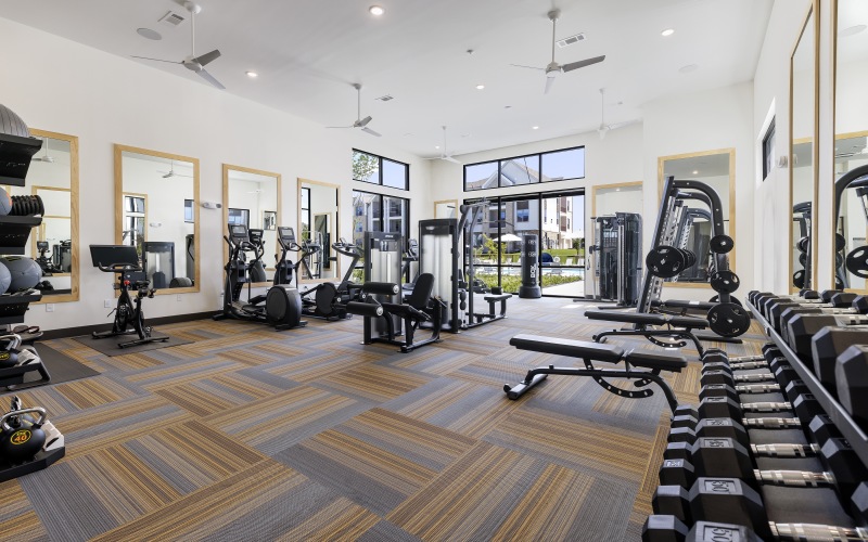 Gym